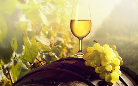 Chardonnay-Wines