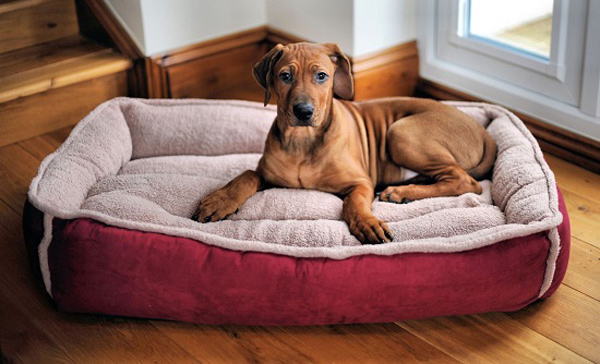 Dog-Basket-Bed