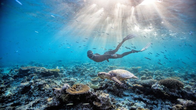 freediving-australia-2