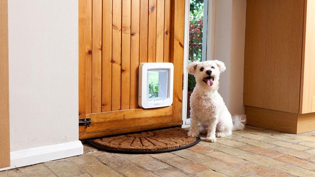 pet doors