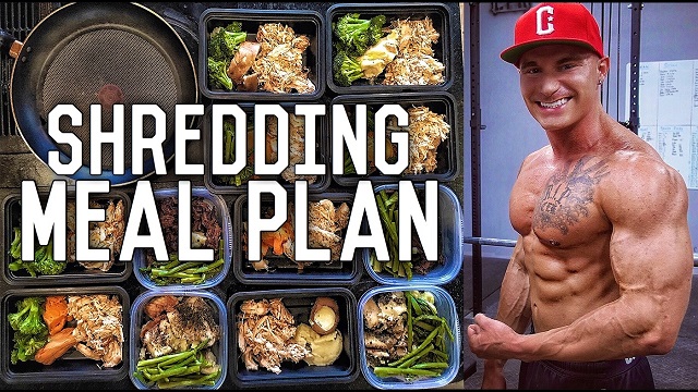 shredding meal plan