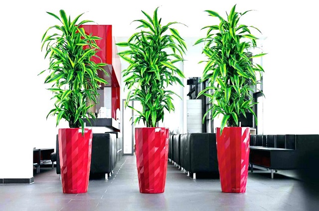 modern indoor planter