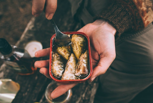 Canned Sardines