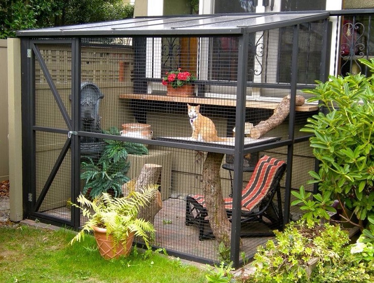 outdoor pet enclosure 2