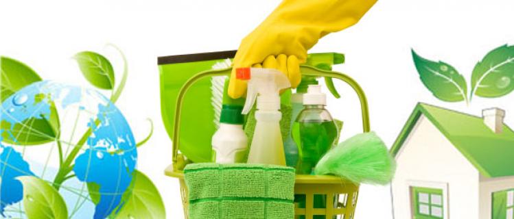 Green Cleaning Products