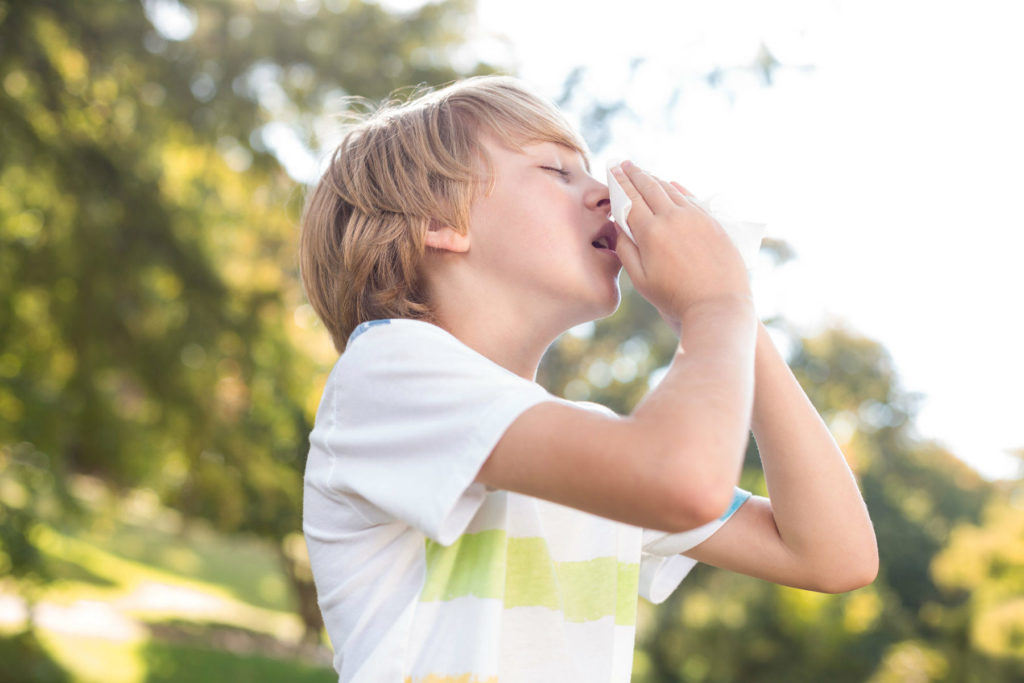 sneezing kid telfast