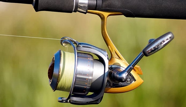 Spinning-Reels 