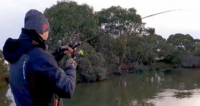 Spinning-Rods