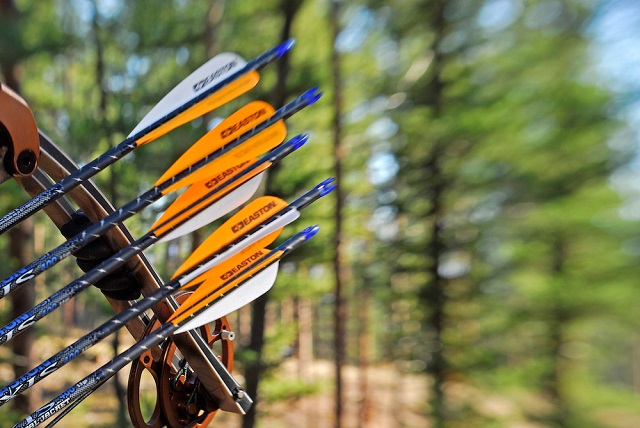 buy hunting arrows