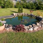 Spruce Up Your Backyard with a Lovely Pond
