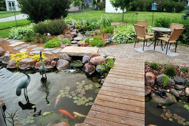 POnd in garden