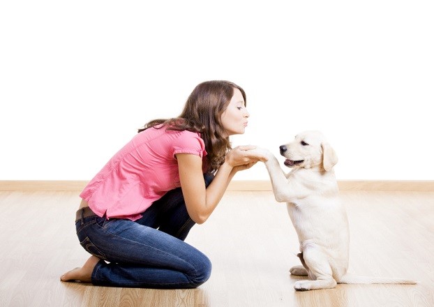 Beautiful young girl playing with a nice cute dog