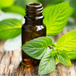 Aromatherapy 101: the Whats and Hows of Essential Oils