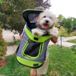 dog carrier backpack