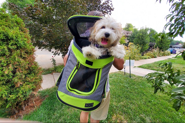 dog carrier backpack