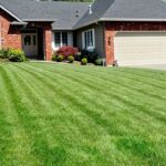 healthy-lawn