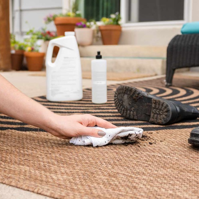 Cleaning Outdoor Carpet